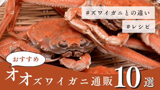 オオズワイガニとは?コスパ抜群の美味しさ!本ズワイガニや紅ズワイガニとの違いからおすすめ通販まで