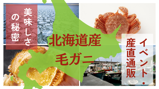 北海道産の毛ガニの特徴は?現地のイベントや旬の時期を解説
