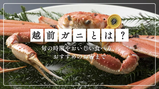 越前ガニとは?旬の時期やおいしい食べ方、おすすめのお店まで