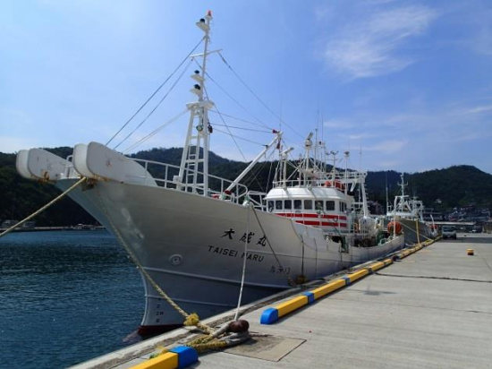 大成丸 taiseimaru_d841b40c-8546-4118-