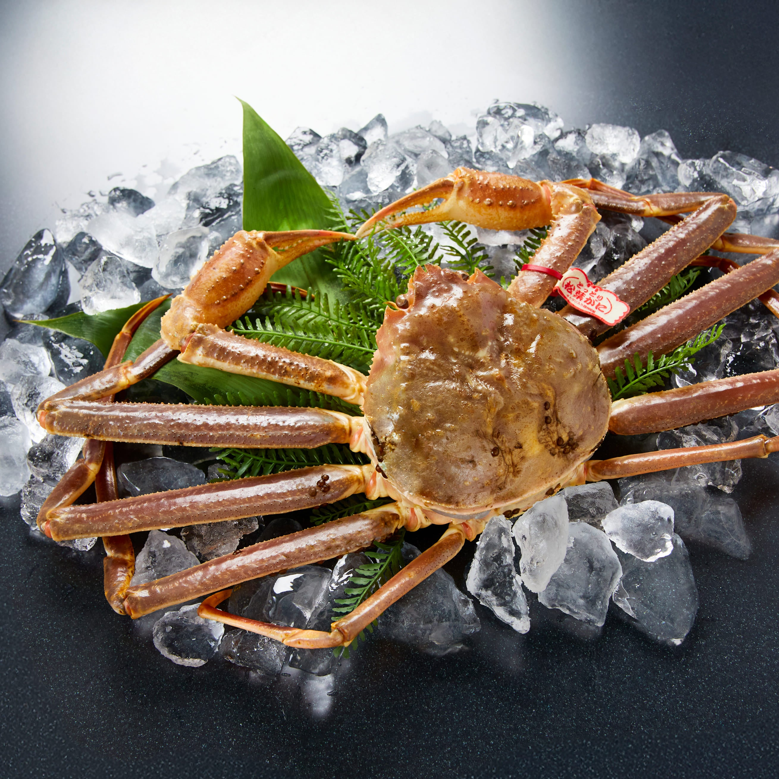 松葉ガニ