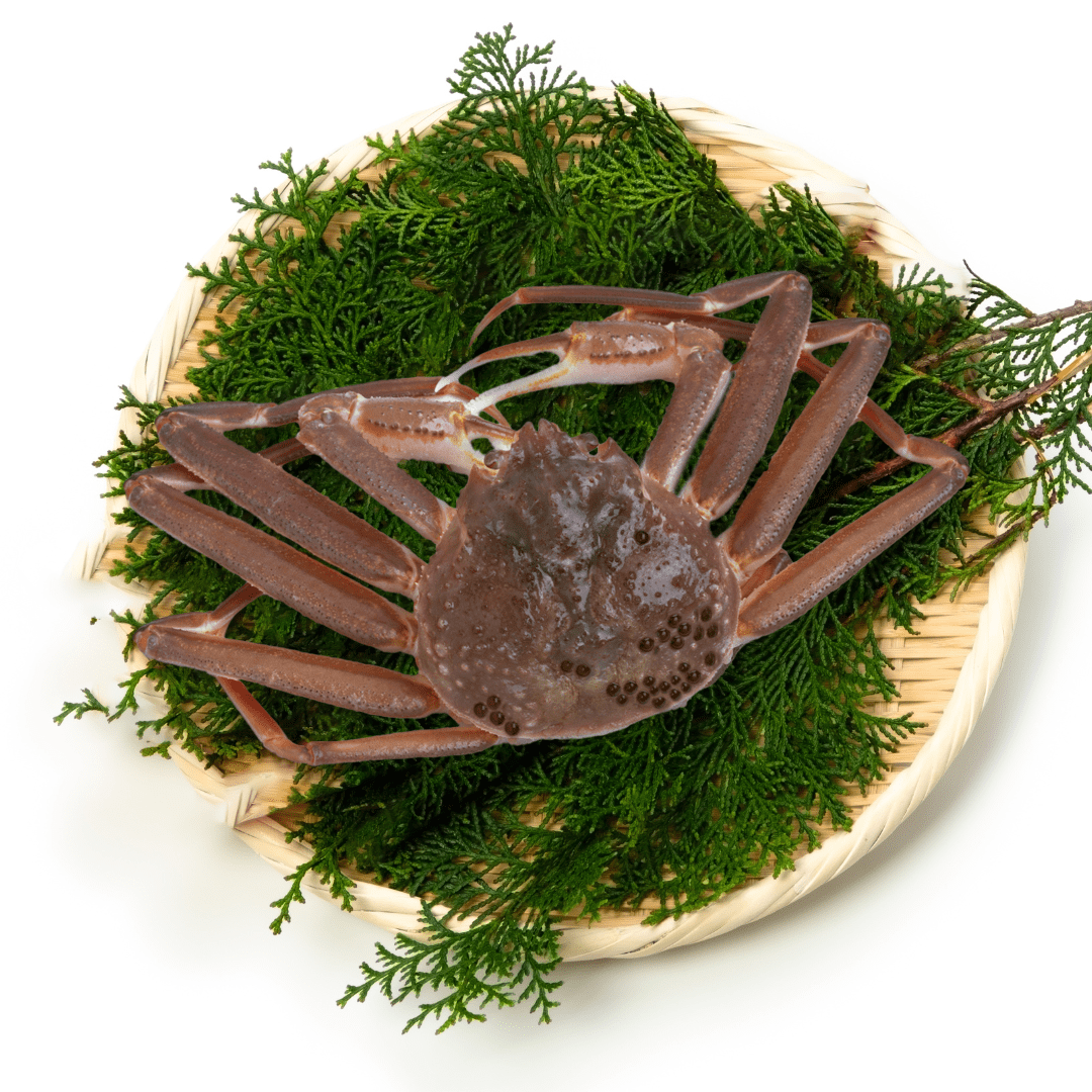 冷凍生本ズワイガニ(肩脚)
