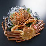 活生松葉ガニ夫婦セット - 雅 (2.5~3.5人前)