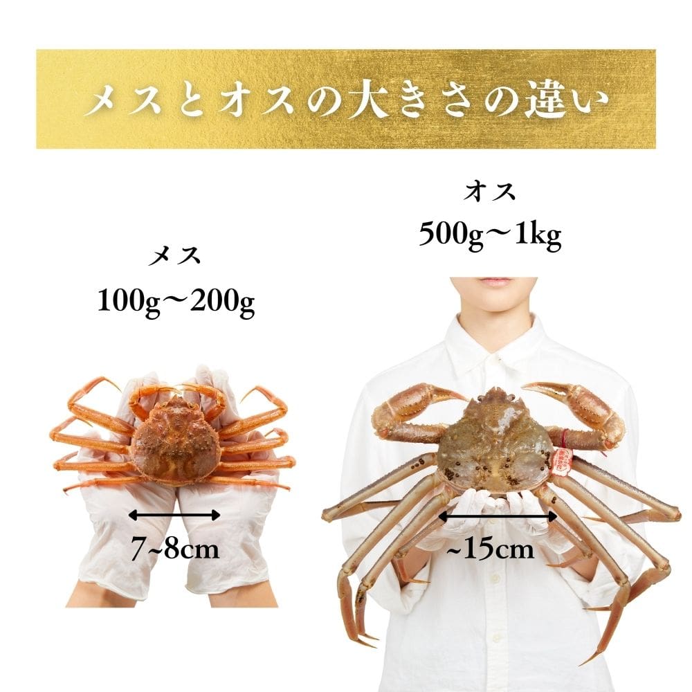 活生越前ガニ夫婦セット - 雅 (2.5~3.5人前)