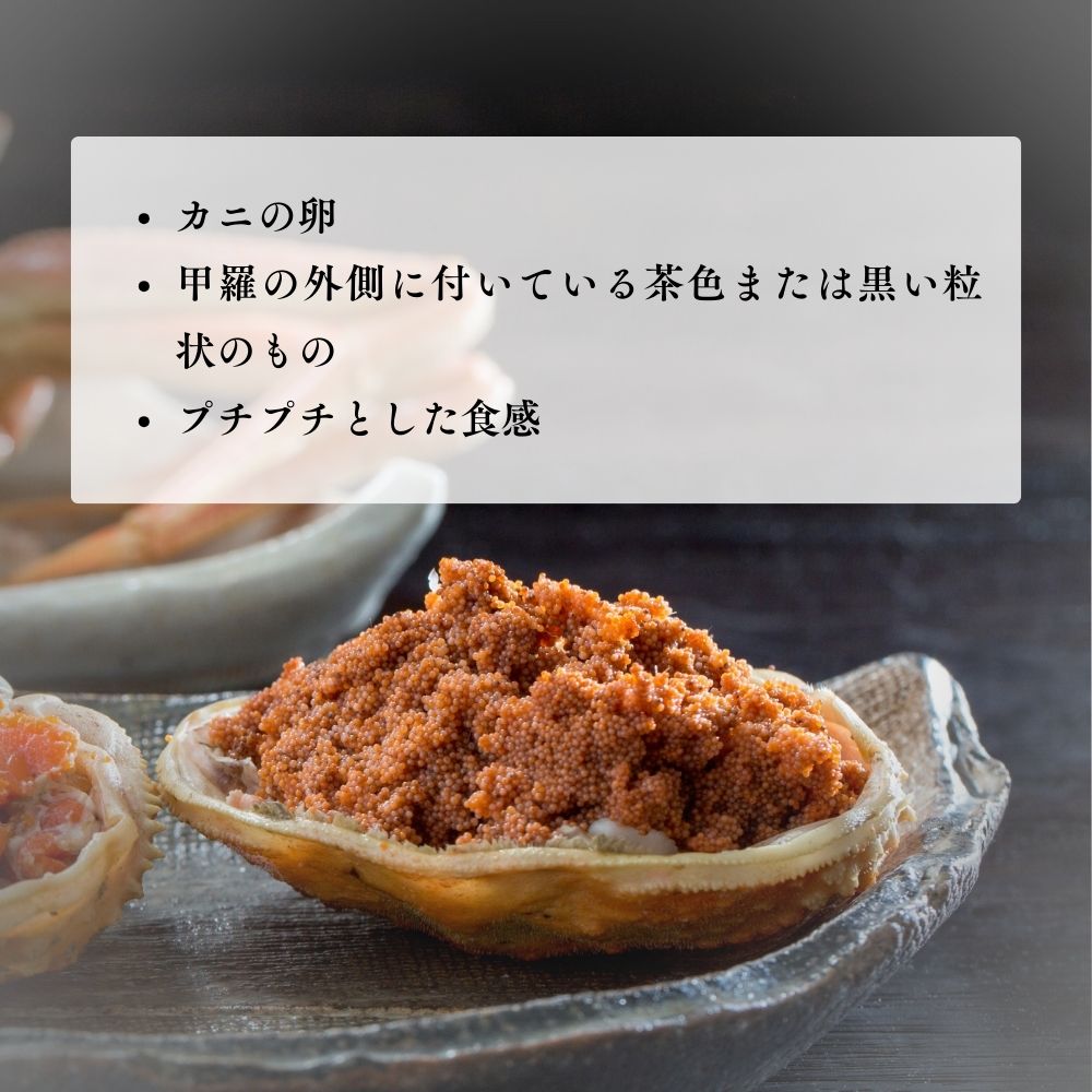 活生松葉ガニ夫婦セット - 雅 (2.5~3.5人前)