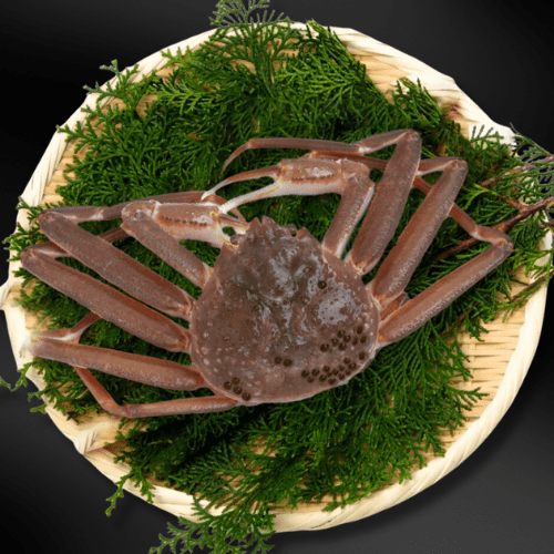 本ズワイガニ (大・1.5~2人前)