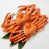 【ボイル】紅ズワイガニ (特大・3~5人前) 2匹セット