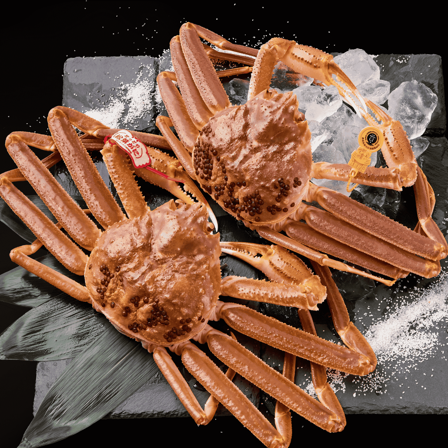 日本二大ブランド】越前・松葉ガニセット - 越松饗福 ｜唯一無二の豪華
