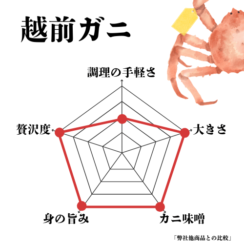 一目でわかる越前ガニの特徴