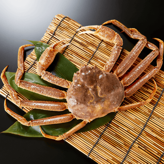 オオズワイガニ (大・1.5~2人前)