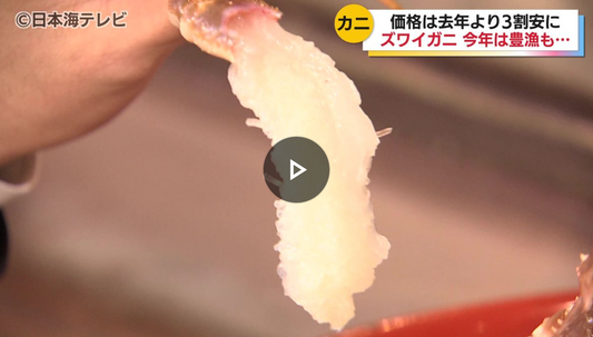 【メディア情報】日本海テレビ初競りについて