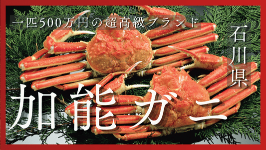 加能ガニとは