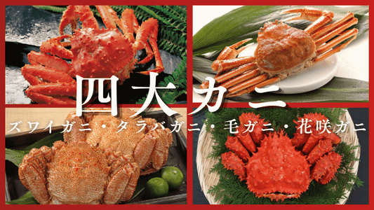 カニ種類　バナー画像