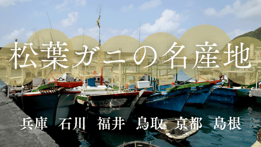 松葉ガニ産地カバー画像