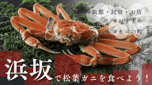 浜坂カニカバー画像