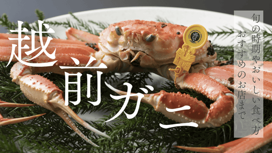 越前ガニカバー画像