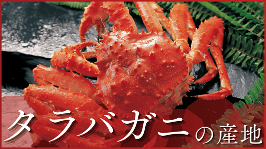 タラバガニ産地