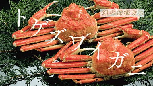 トゲズワイガニとは