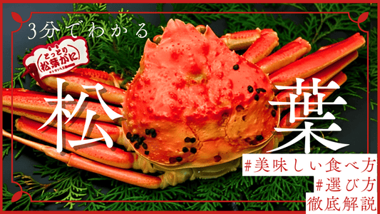 松葉ガニとは？お得な買い方から旬、美味しさの秘密を動画＆漫画で分かりやすく解説！