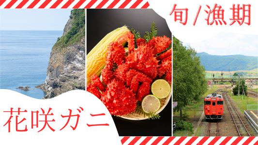 花咲ガニの旬・解禁日は？幻のカニの旬と漁の解禁期間を紹介