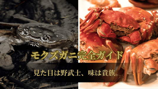 モクズガニ完全ガイド　サムネイル