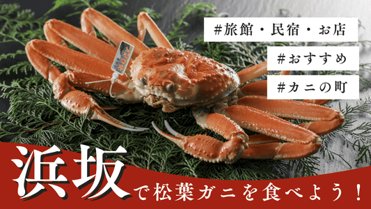 「カニの町」 浜坂で松葉ガニを食べよう！おすすめの旅館・民宿やお店を紹介
