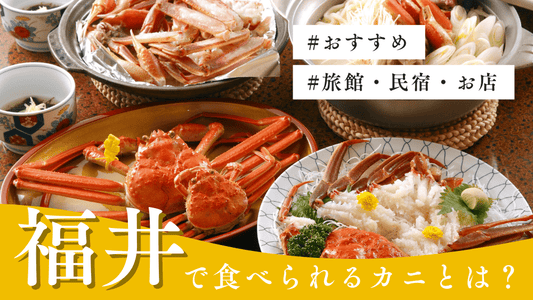 福井で食べられる美味しいカニは？おすすめの旅館・民宿やお店を紹介