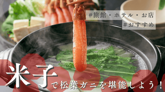 米子カニカバー画像