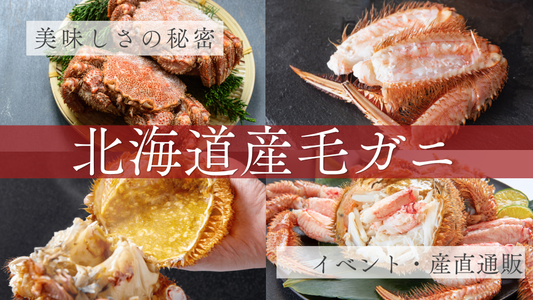 北海道産毛ガニ