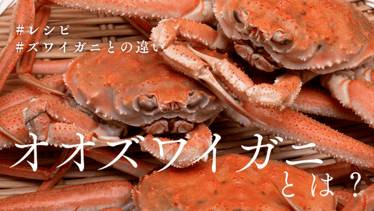 オオズワイガニ通販カバー画像