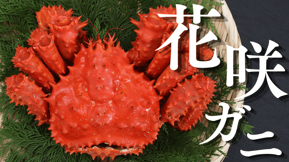 花咲ガニとは？夏に根室でしか穫れない幻の希少ガニの魅力を徹底｜高級