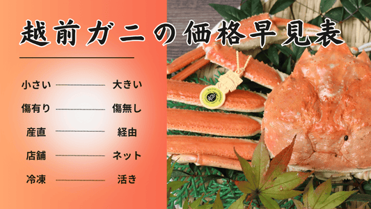 越前ガニの値段 完全ガイド【2025年】越前ガニ値段の早見表！相場やグレード、店舗と通販での違いまで