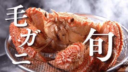 毛ガニの旬