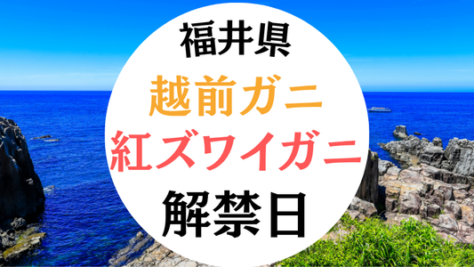 福井カニ解禁日