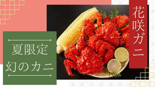 花咲ガニとは？夏に根室でしか穫れない幻の希少ガニの魅力を徹底