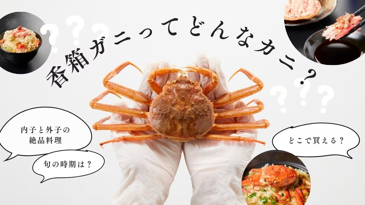 香箱ガニ・セコガニとは？外子や内子の絶品料理から解禁日、おすすめ