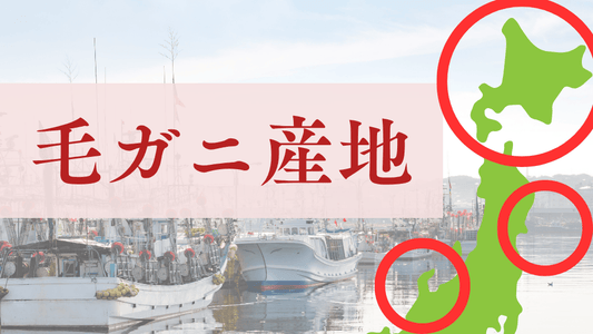 毛ガニ産地