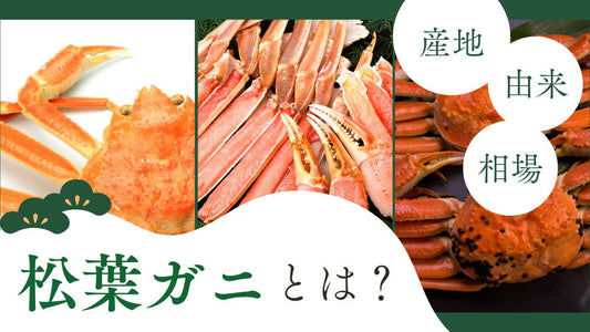 松葉ガニとは？お得な買い方から旬、美味しさの秘密を動画＆漫画で分かりやすく解説！