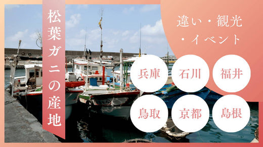 松葉ガニの名産地は？各産地の港や開催イベント、地域での違いを詳しく解説