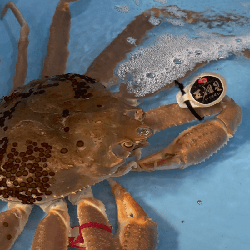 2024-09-03_13.45.18_1.png?v=