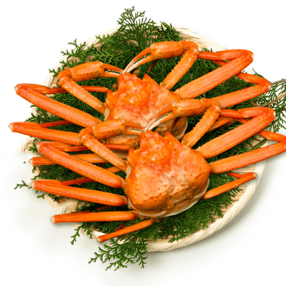 【ボイル】紅ズワイガニ (大・3~4人前) 2匹セット