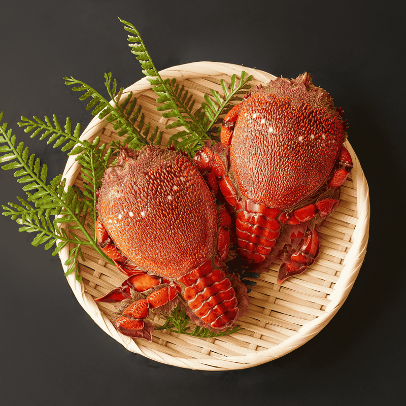 1kg以上アサヒガニ通販｜水揚げ6時間発送の高級蟹専門店 松菱