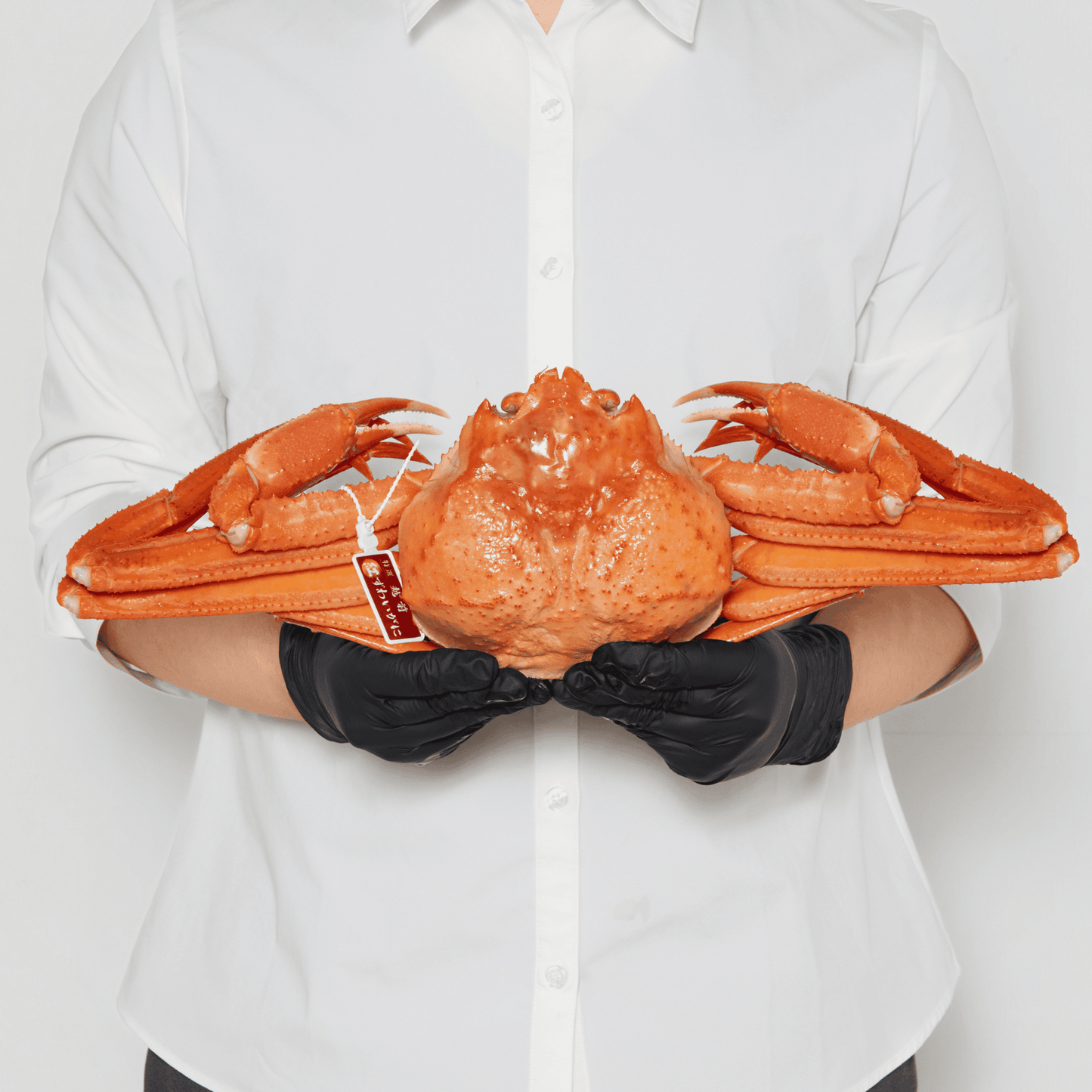 【ボイル】紅ズワイガニ (特大・1.5~2.5人前)