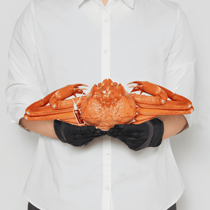 【ボイル】紅ズワイガニ (大・1.5~2人前)