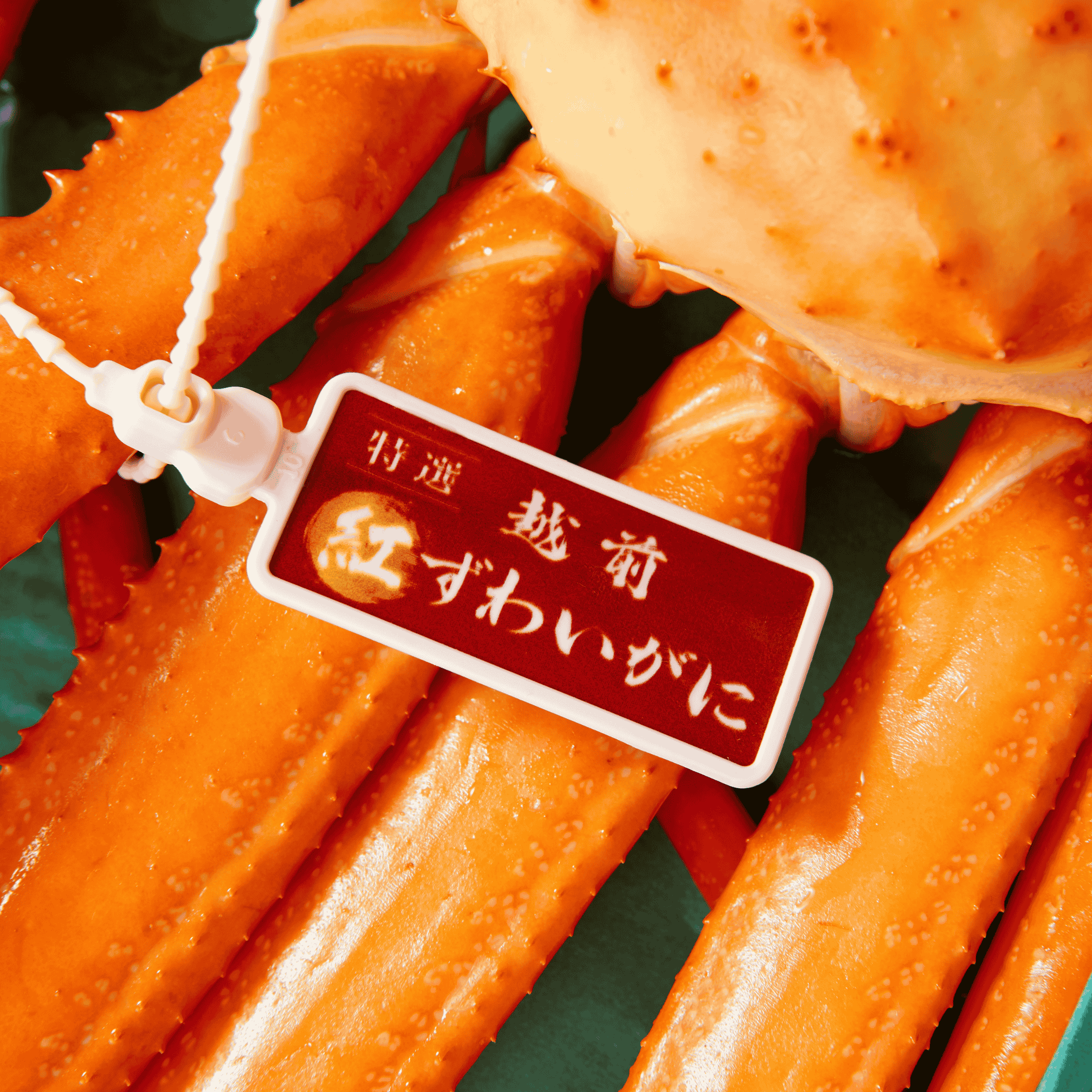 紅ズワイガニ