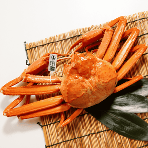 【ボイル】紅ズワイガニ (特大・1.5~2.5人前)