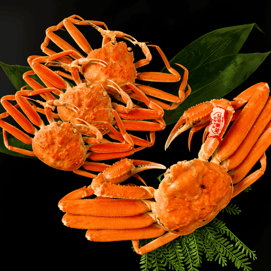 活〆ボイル松葉ガニ夫婦セット - 雅 (2.5~3.5人前)