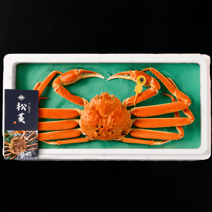 【活〆ボイル】越前ガニ (大・1.5~2人前)