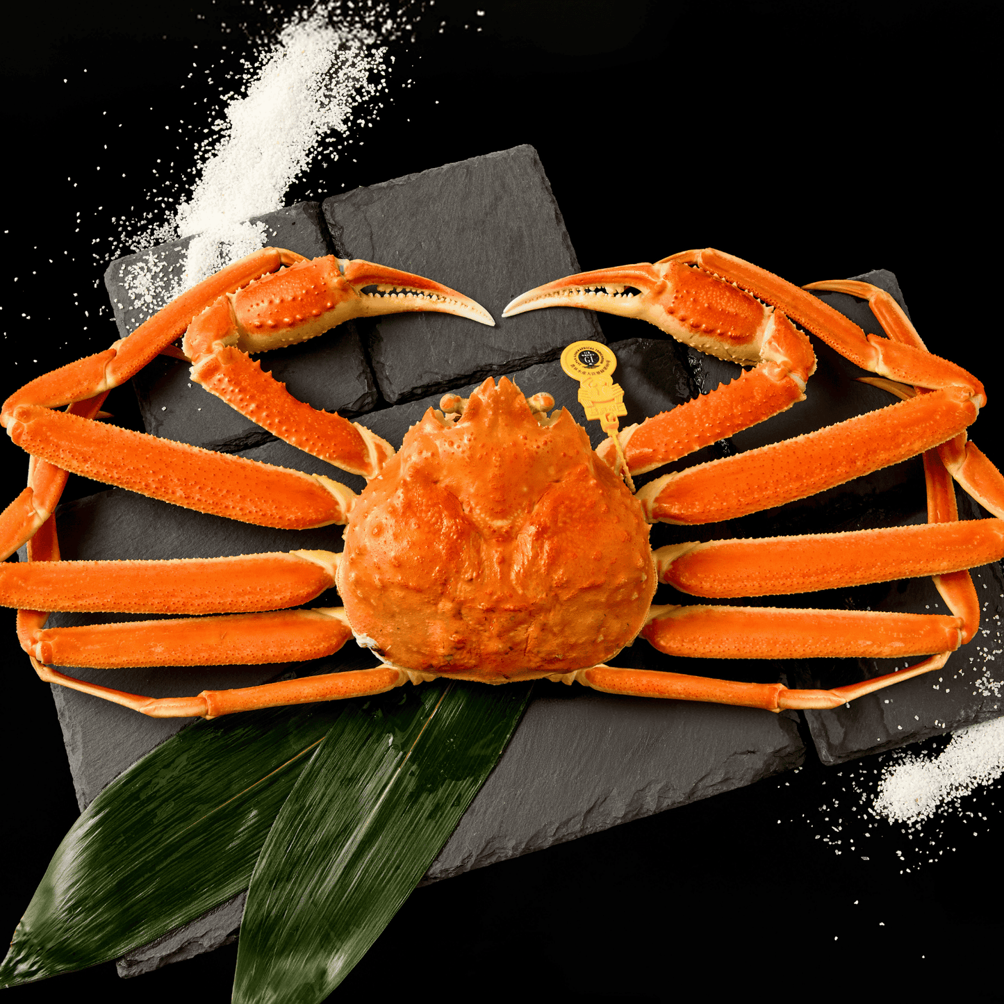 【活〆ボイル】越前ガニ (大・1.5~2人前)