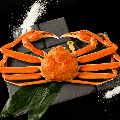 【活〆ボイル】越前ガニ (大・1.5~2人前)